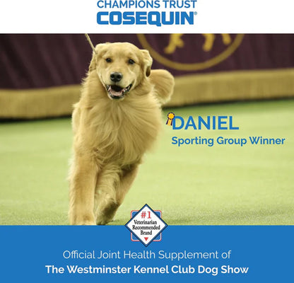 Nutramax Cosequin Maximum Strength Joint Health Supplement Plus MSM & HA for Dogs – arthritis Care | UK Stock