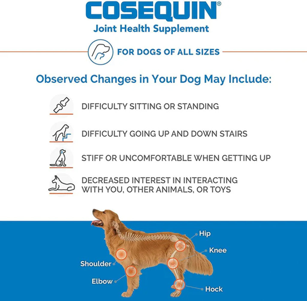 Nutramax Cosequin DS Chewable Tablets for Dogs – Joint Health & Mobility | UK Stock