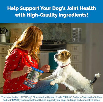 Nutramax Cosequin DS Chewable Tablets for Dogs – Joint Health & Mobility | UK Stock