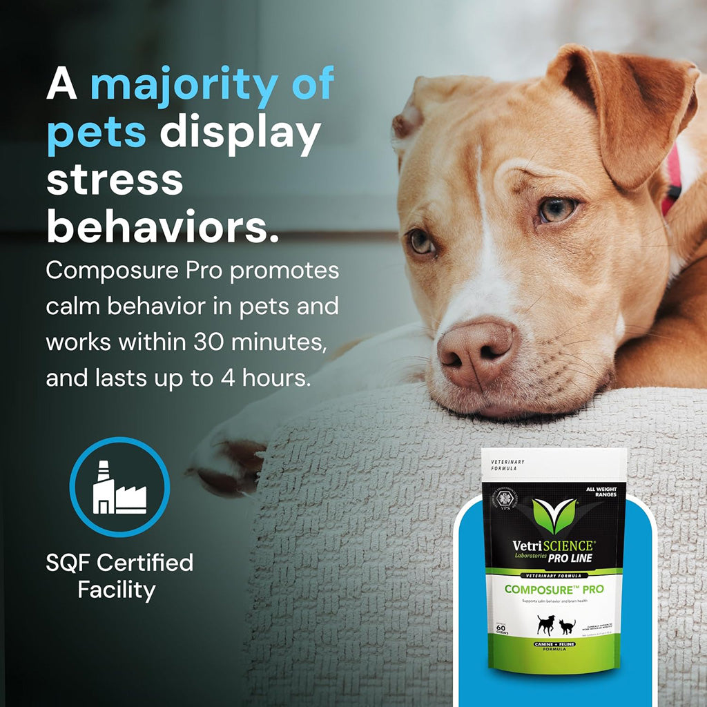 Composure Pro Calming Chews for Dogs & Cats – UK Stock