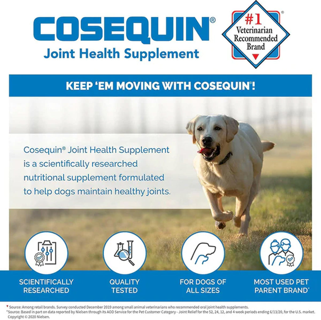 Nutramax Cosequin DS Chewable Tablets for Dogs – Joint Health & Mobility | UK Stock