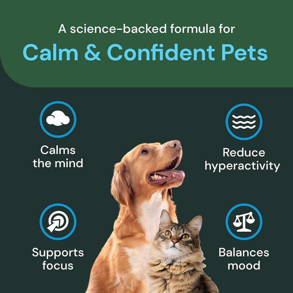 Composure Pro Calming Chews for Dogs & Cats – UK Stock