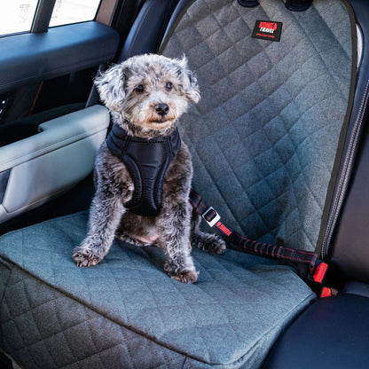 Dog sitting on a car seat with a gray cover and a visible brand label.