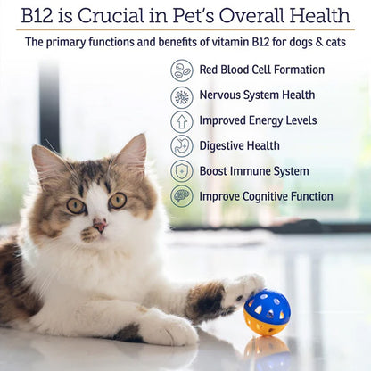 Rx Vitamins Rx B12 Liquid Digestive Supplement for Dogs & Cats – Vitamin B12 Support | Available in UK Now