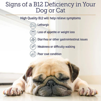 Rx Vitamins Rx B12 Liquid Digestive Supplement for Dogs & Cats – Vitamin B12 Support | Available in UK Now