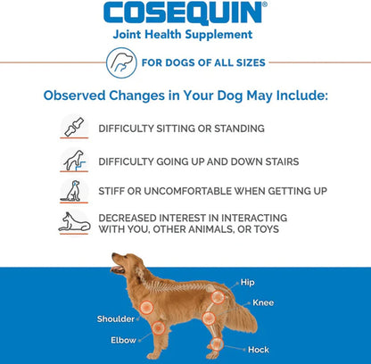 Nutramax Cosequin Maximum Strength Joint Health Supplement Plus MSM & HA for Dogs – Advanced Joint Care | UK Stock signs 