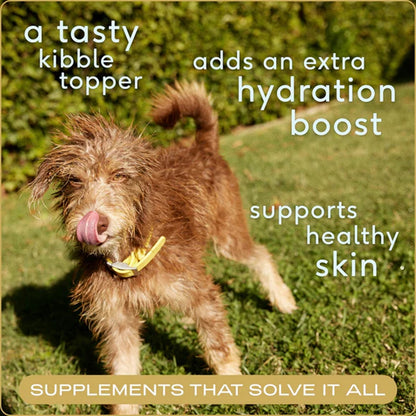 Dog standing on grass with text about a tasty kibble topper, hydration boost, and healthy skin support.