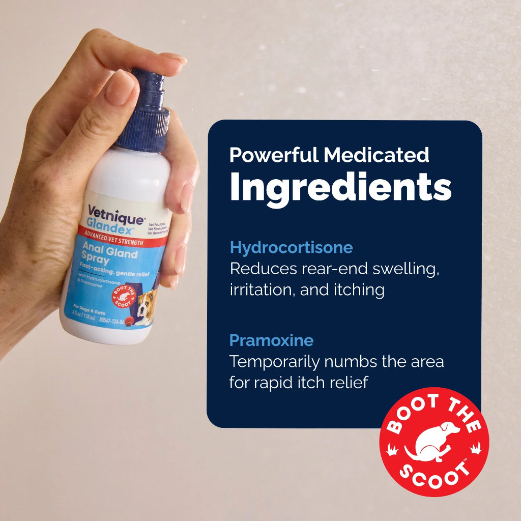 Hand holding a spray bottle labeled 'Vetnique Glandex Anal Gland Spray' with product details on a beige background.