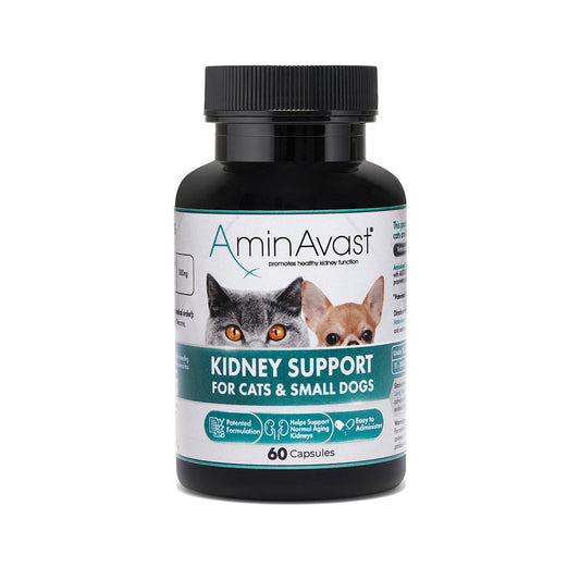 AminAvast kidney support supplement bottle for cats and small dogs on a white background