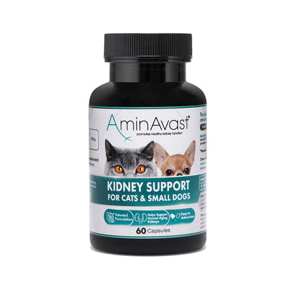 AminAvast kidney support supplement bottle for cats and small dogs on a white background