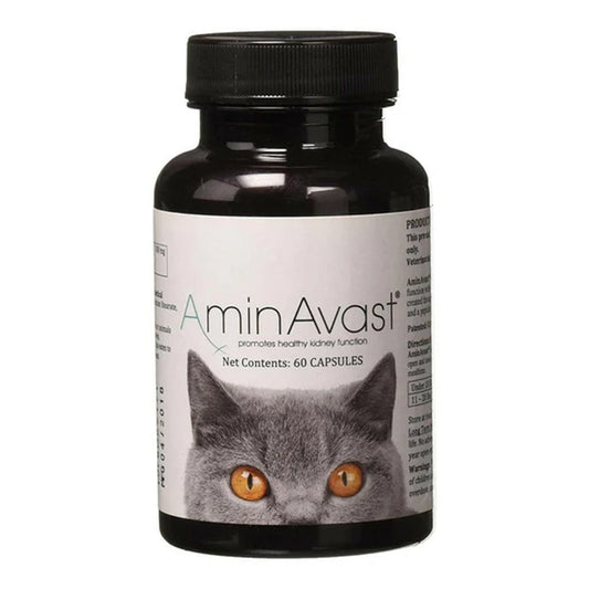 AminAvast kidney supplement for cats