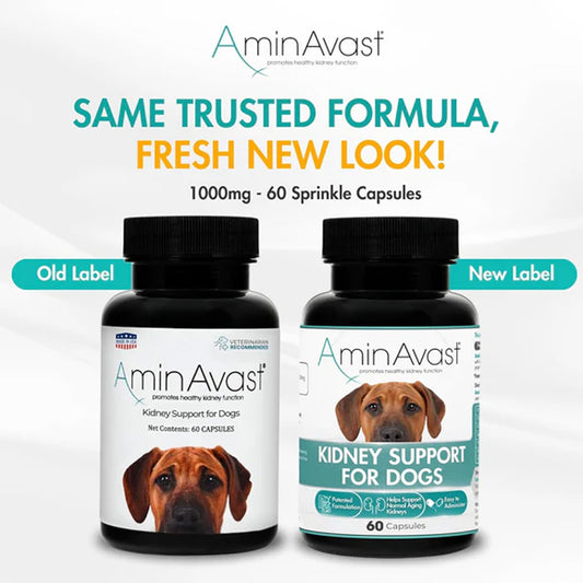 AminAvast Kidney Support for Dogs – Advanced Renal Health Supplement UK packaging change
