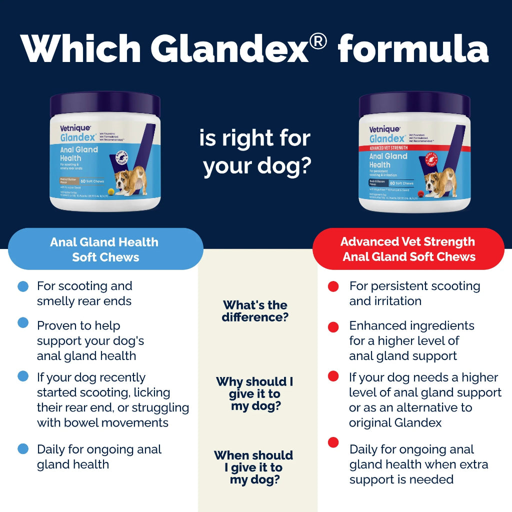 Vetnique Glandex Anal Gland Health soft chews for dogs on a blue background with product images and text.