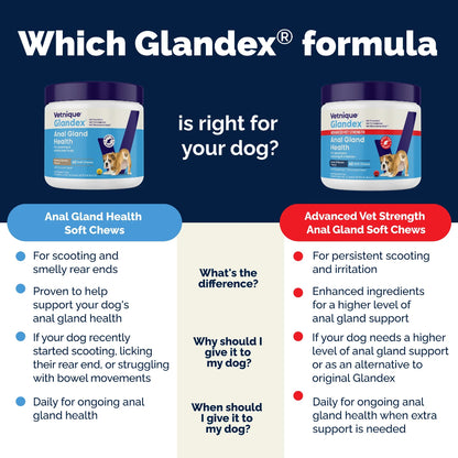 Vetnique Glandex Anal Gland Health soft chews for dogs on a blue background with product images and text.