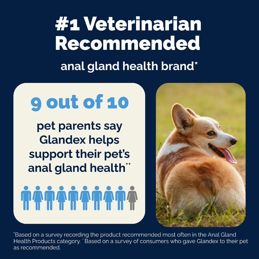 Dog sitting in grass with Glandex product recommendation text on a blue background