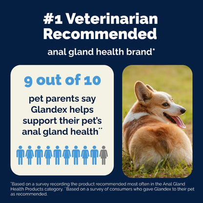 Dog sitting in grass with Glandex product recommendation text on a blue background
