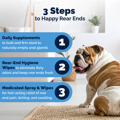 Bulldog sitting on a rug with text about pet care steps for happy rear ends.