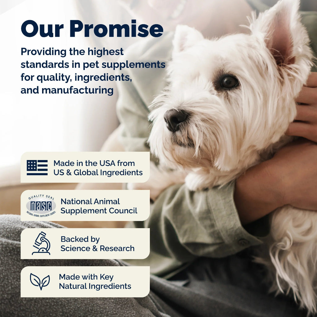Person holding a small white dog with text about pet supplement quality and ingredients.