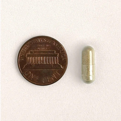 Pill next to a penny on a white background