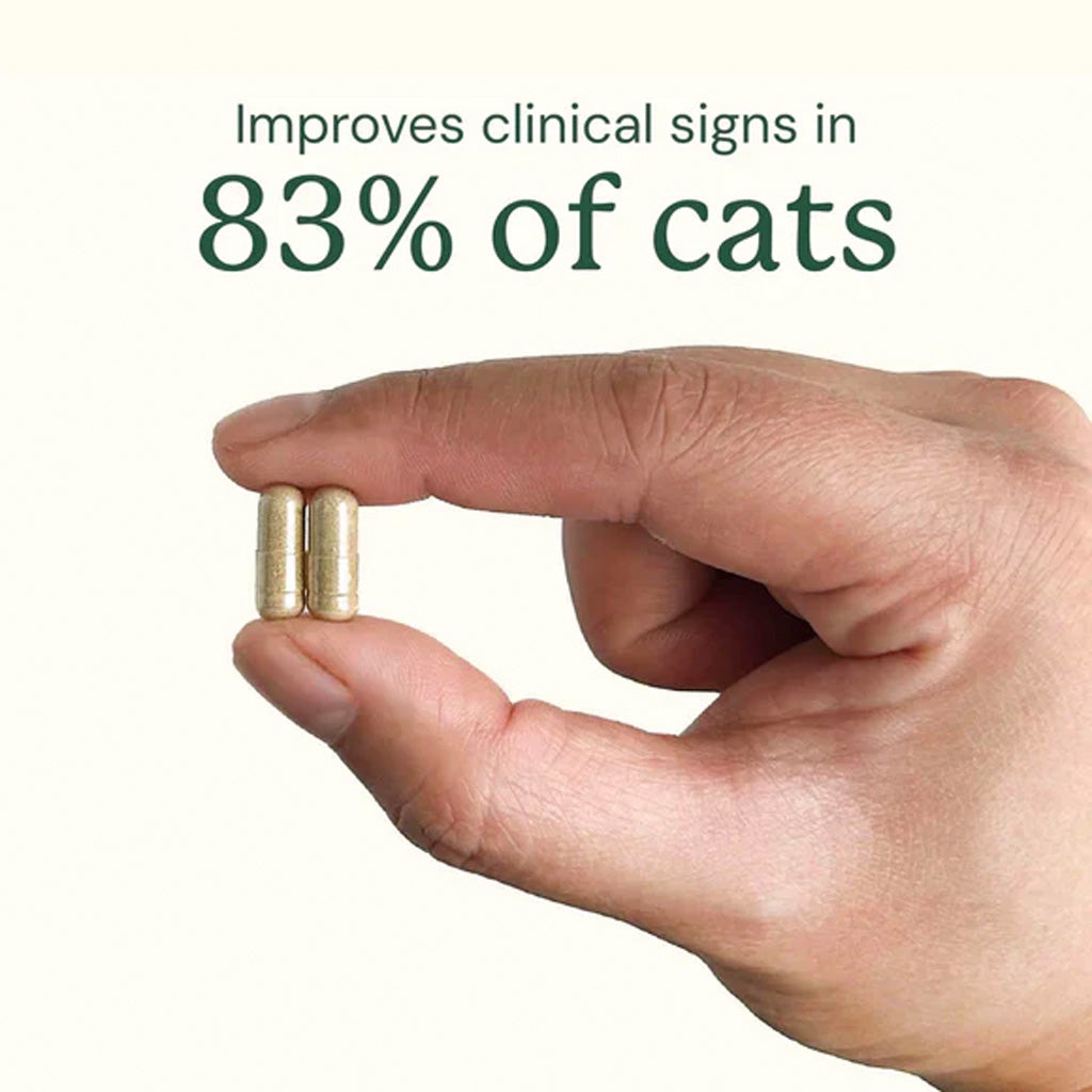 Hand holding two capsules with text indicating improvement in 83% of cats.