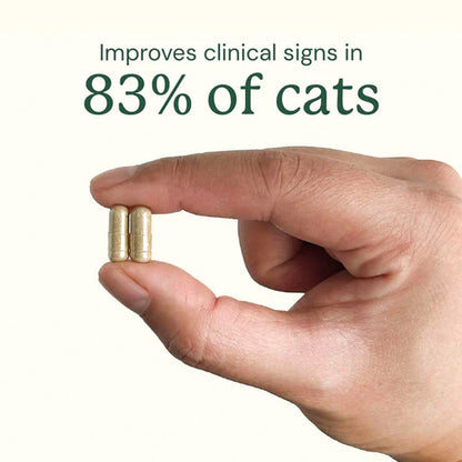 Hand holding two capsules with text indicating improvement in 83% of cats.