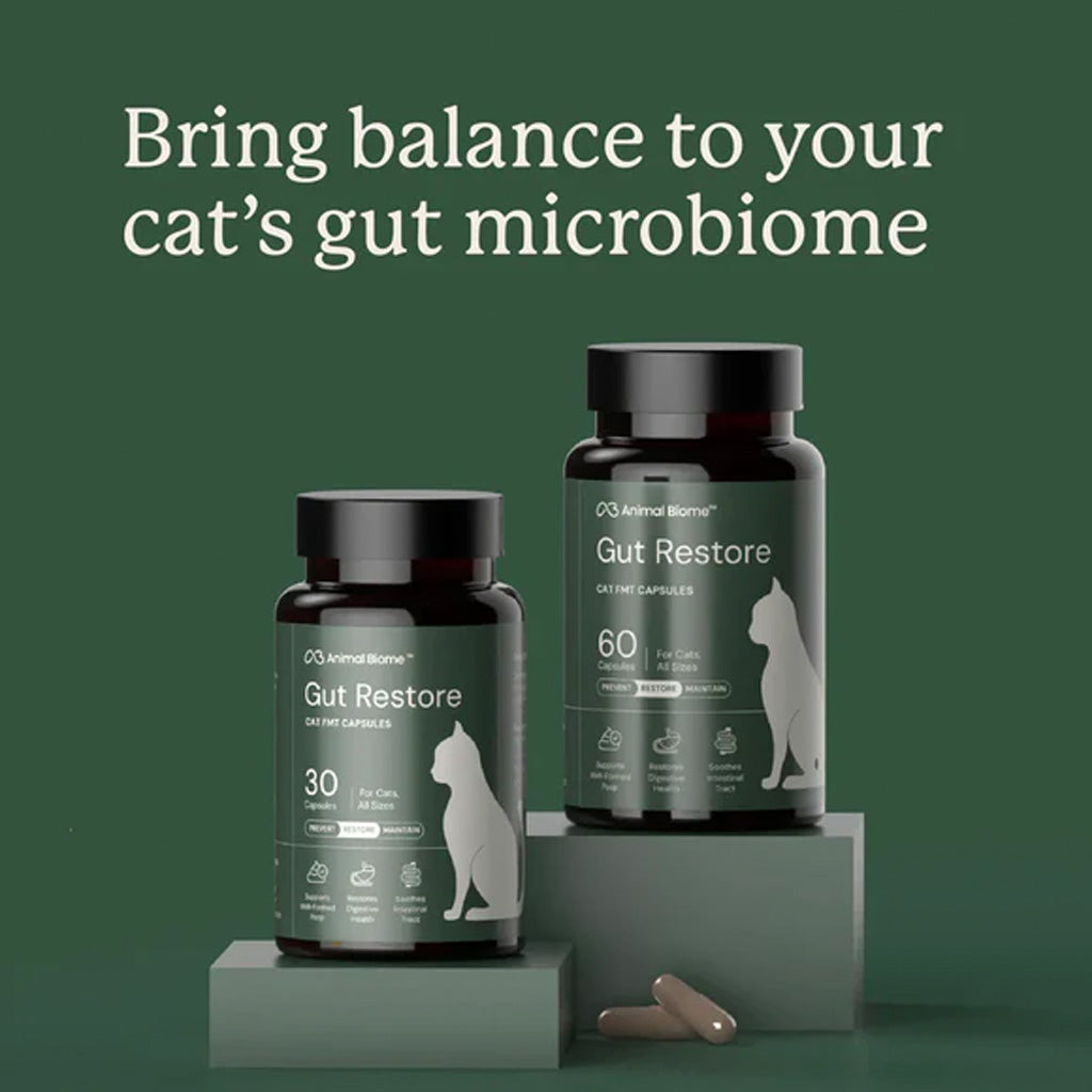 Two bottles of 'Gut Restore' cat supplement on a green background with text.