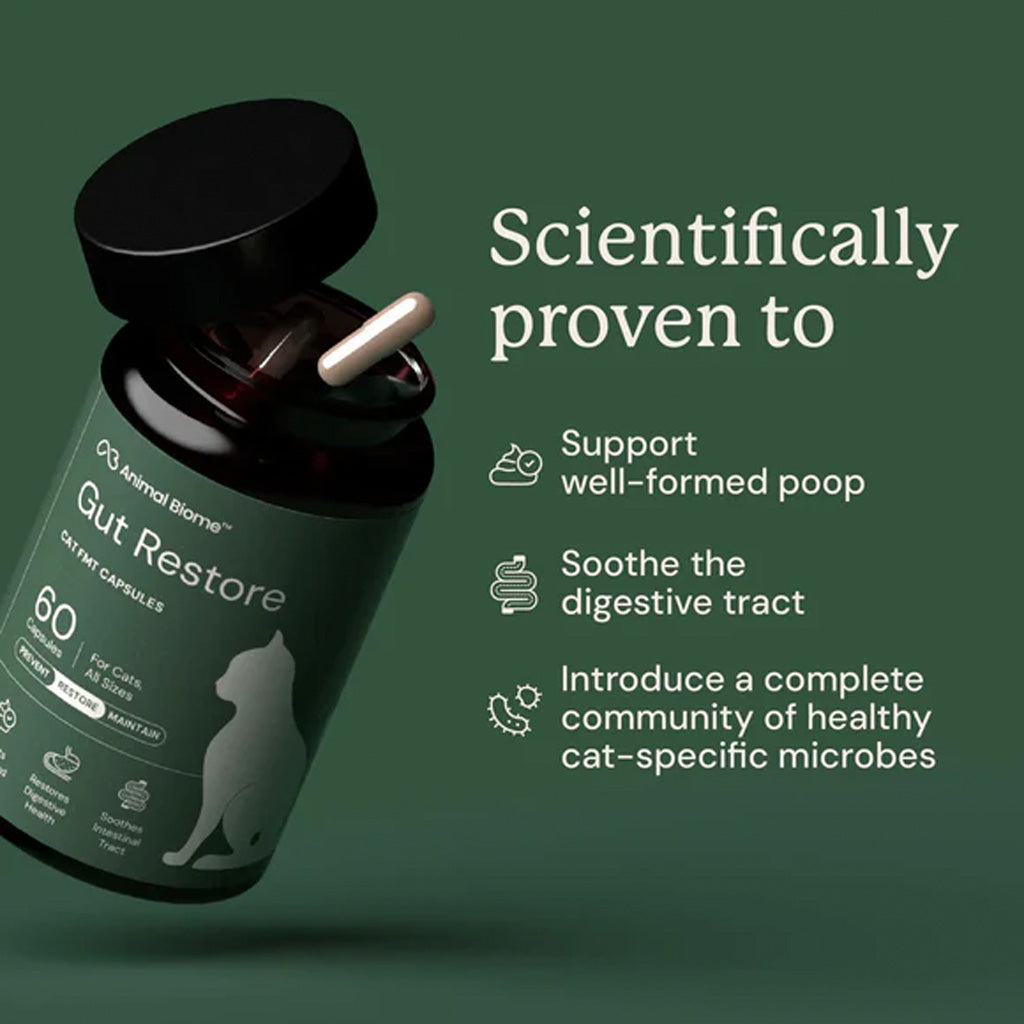Cat supplement bottle labeled 'Gut Restore' with text on a green background