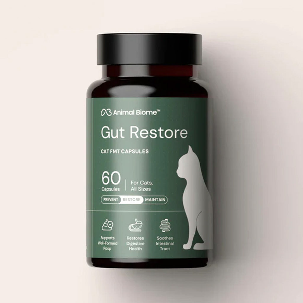 Bottle of Animal Biome Gut Restore cat FMT capsules on a beige background