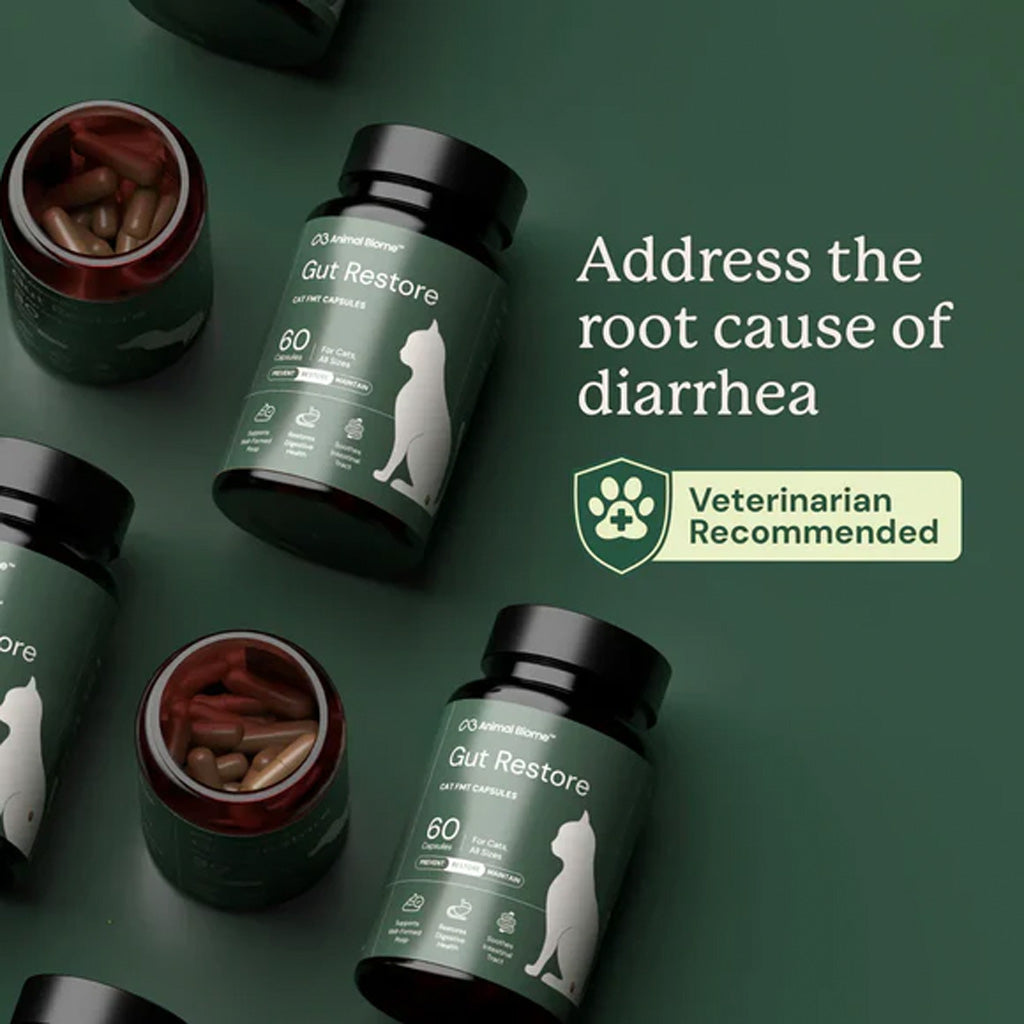 Cat supplement bottles labeled 'Gut Restore' on a green background with text about addressing diarrhea.