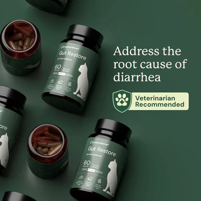 Cat supplement bottles labeled 'Gut Restore' on a green background with text about addressing diarrhea.