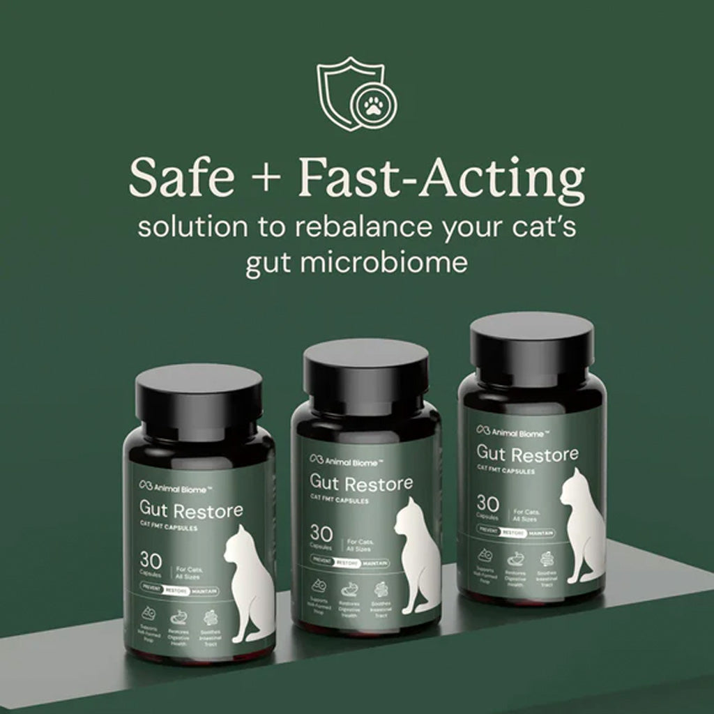 Three bottles of 'Gut Restore' for cats on a green background with text about safe and fast-acting solution.