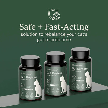 Three bottles of 'Gut Restore' for cats on a green background with text about safe and fast-acting solution.