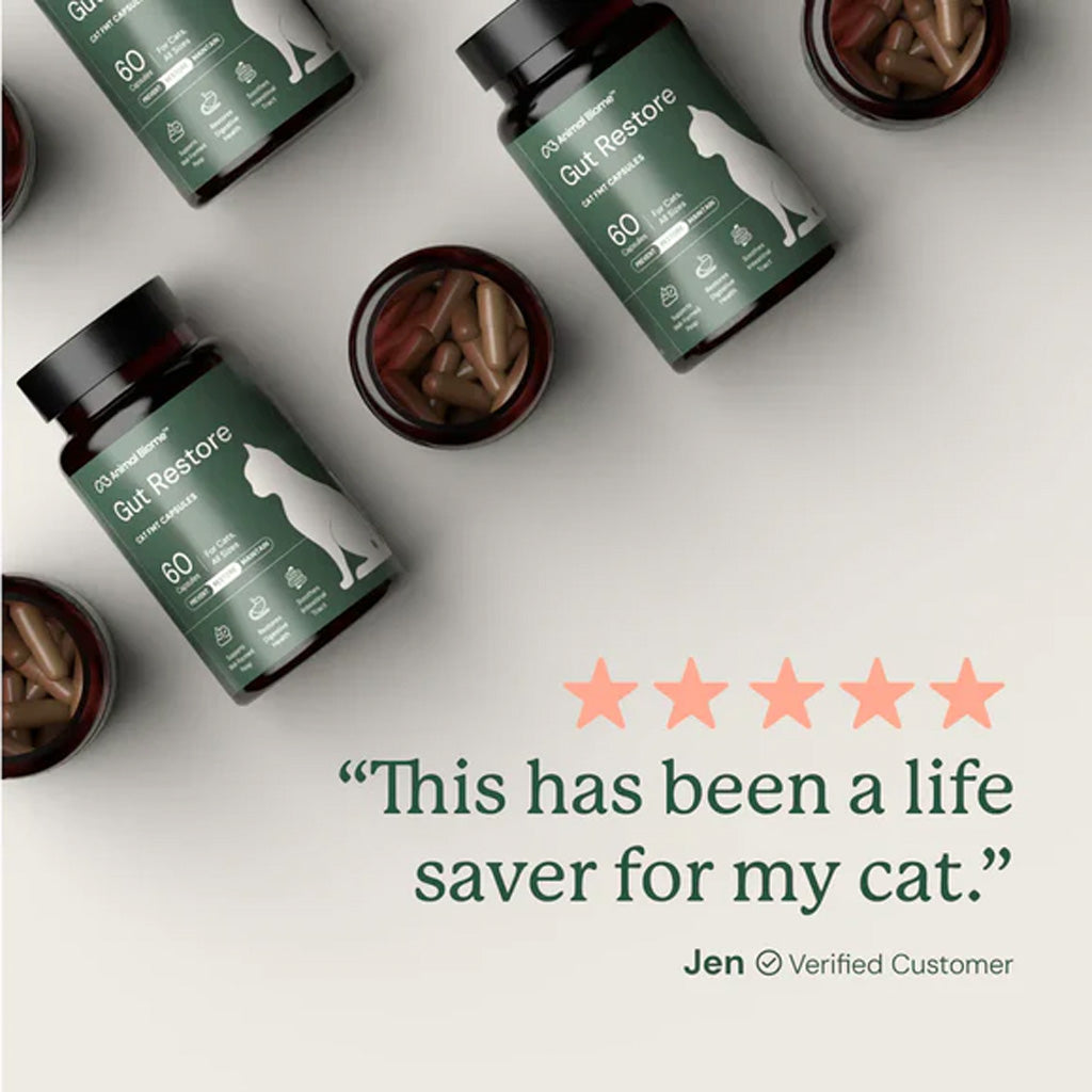 Cat supplement bottles with a five-star rating quote from a customer on a light background