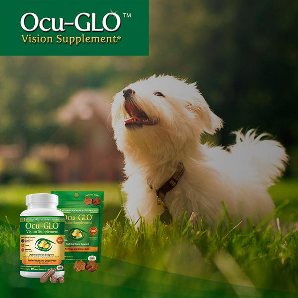 Ocu-GLO Vision Supplement