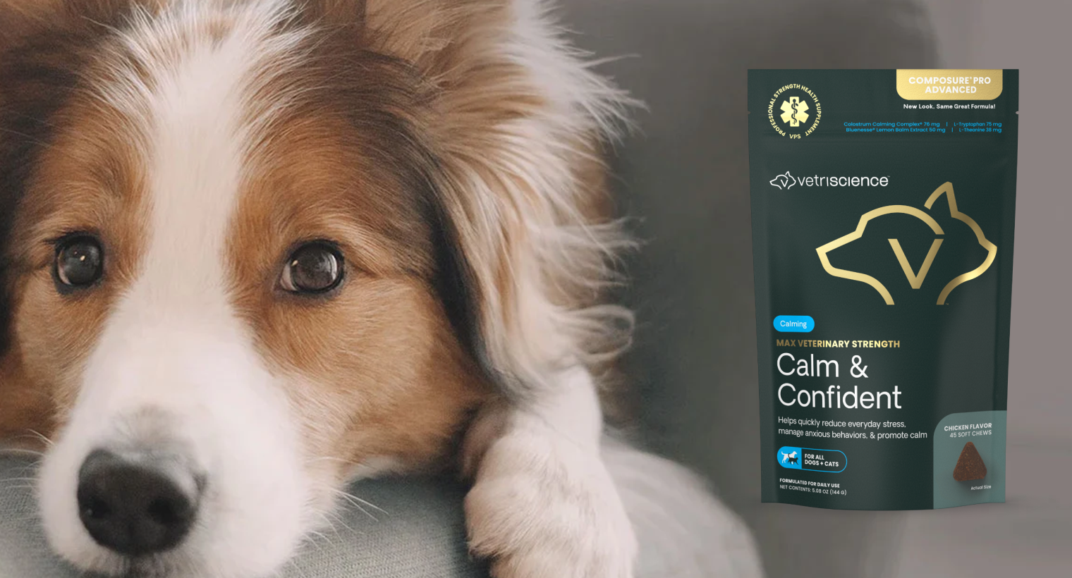 Vetriscience Calm & Confident at Boss Pets