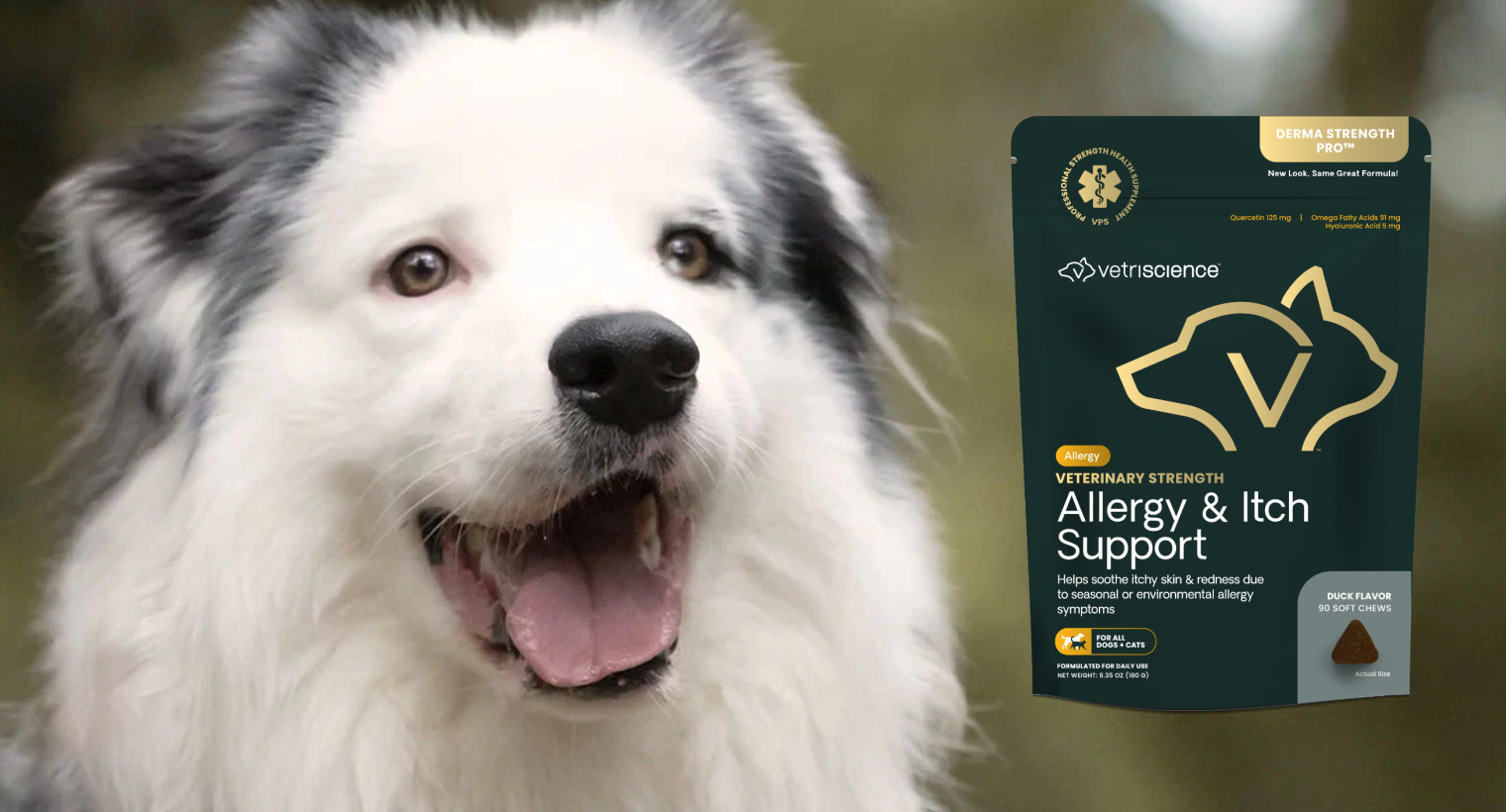 Vetriscience Allergy & Itch Support at Boss Pets