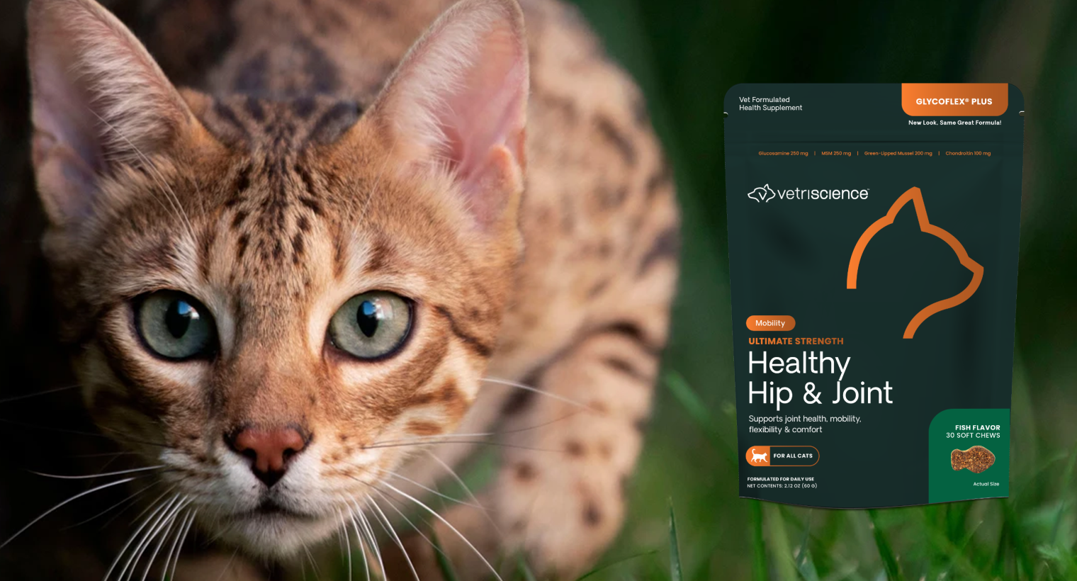 Vetriscience Healthy Hip & Joint at Boss Pets