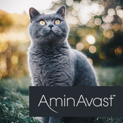 Cat with AminAvast logo