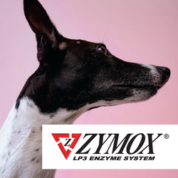 Dog with Zymox logo