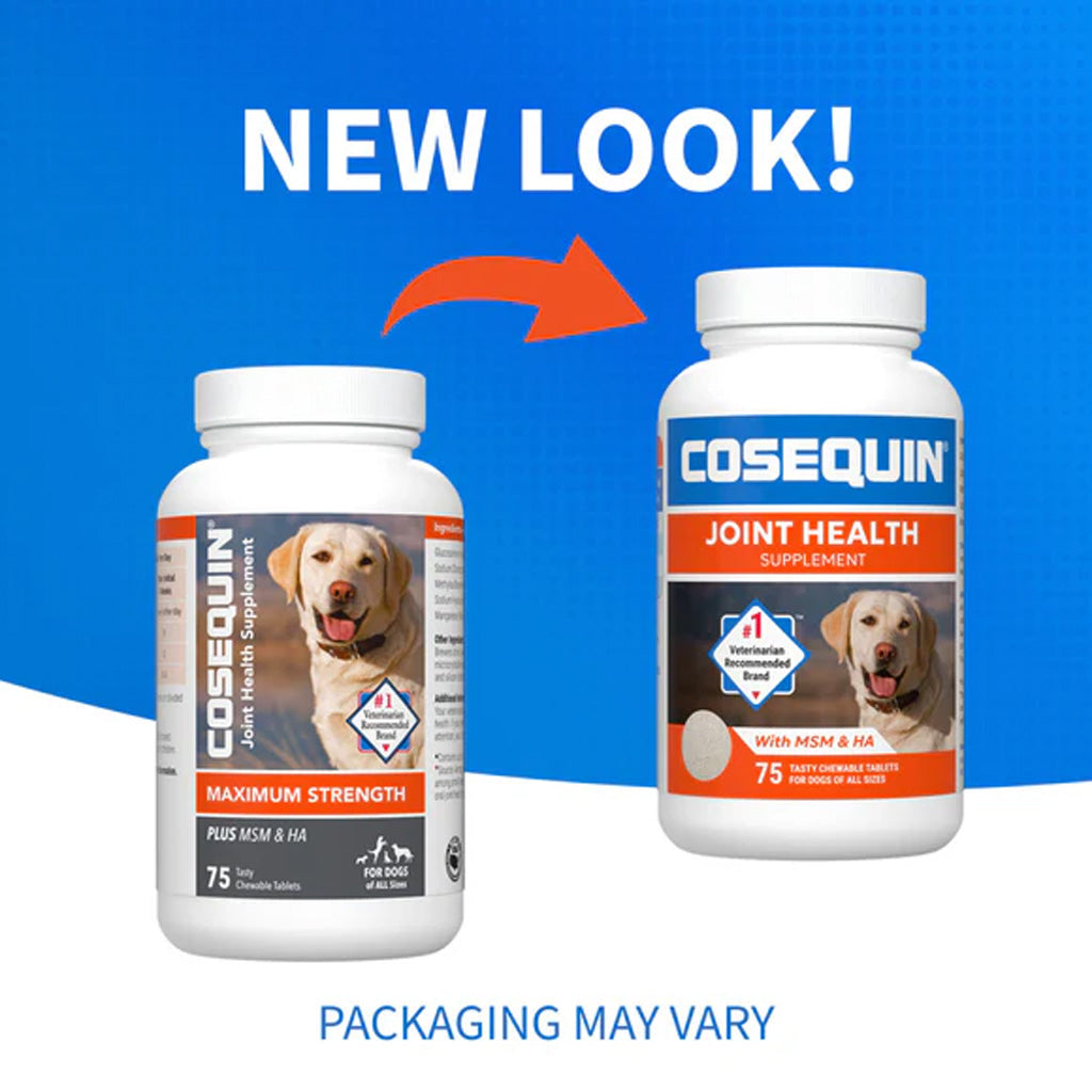 Nutramax Cosequin Maximum Strength Joint Health Supplement Plus MSM & HA for Dogs new packaging