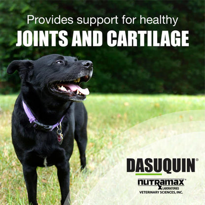 Nutramax Dasuquin Soft Chews for Large Dogs – Advanced Joint Health Formula | UK Stock