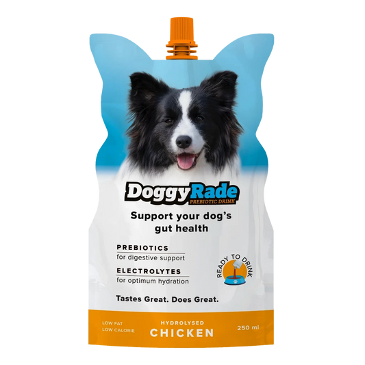 Doggyrade supplement drink for dogs prebiotics electrolytes