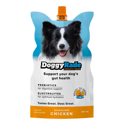 DoggyRade 500ml – Prebiotic Isotonic Drink for Dogs
