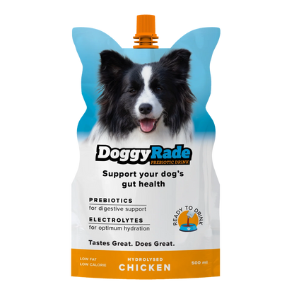 DoggyRade 500ml – Prebiotic Isotonic Drink for Dogs