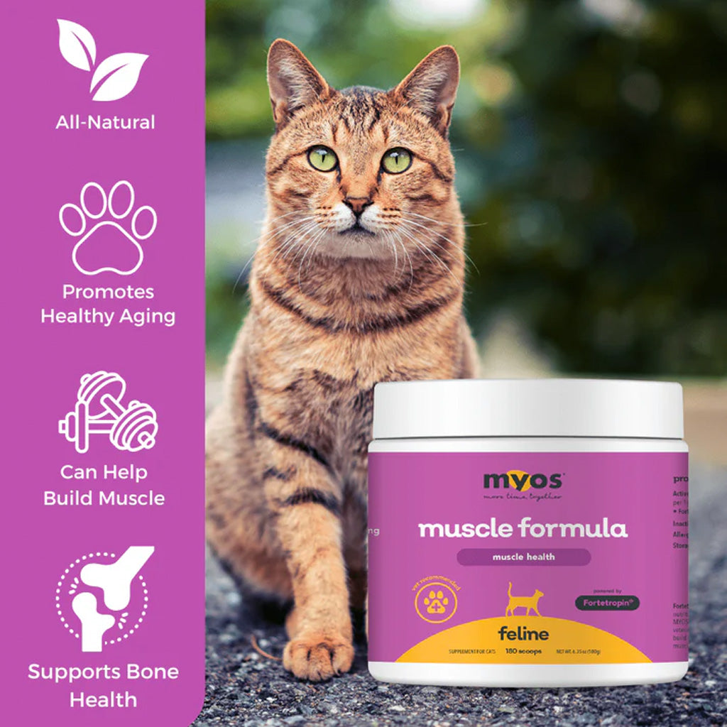 Cat with a purple 'myos muscle formula' container on a blurred natural background