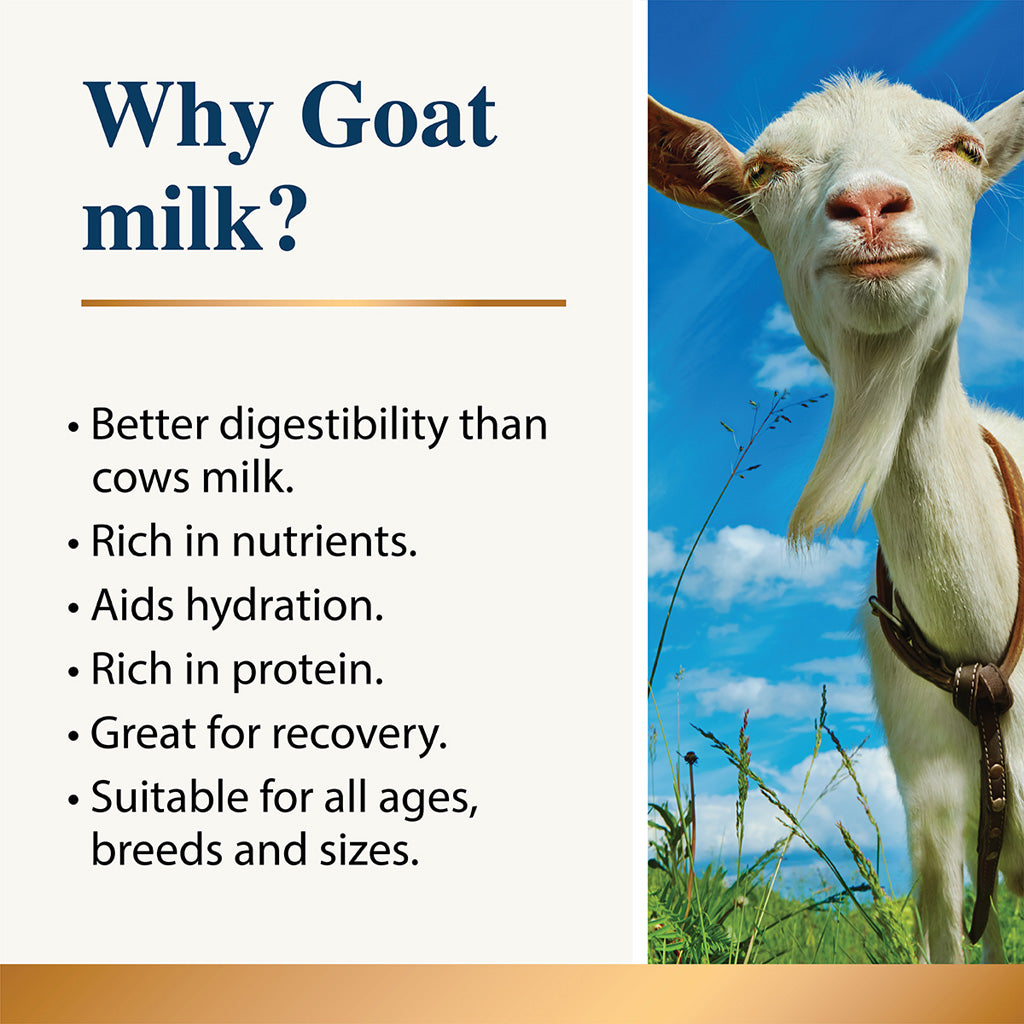 Goat standing in a grassy field with text about goat milk benefits on a blue sky background