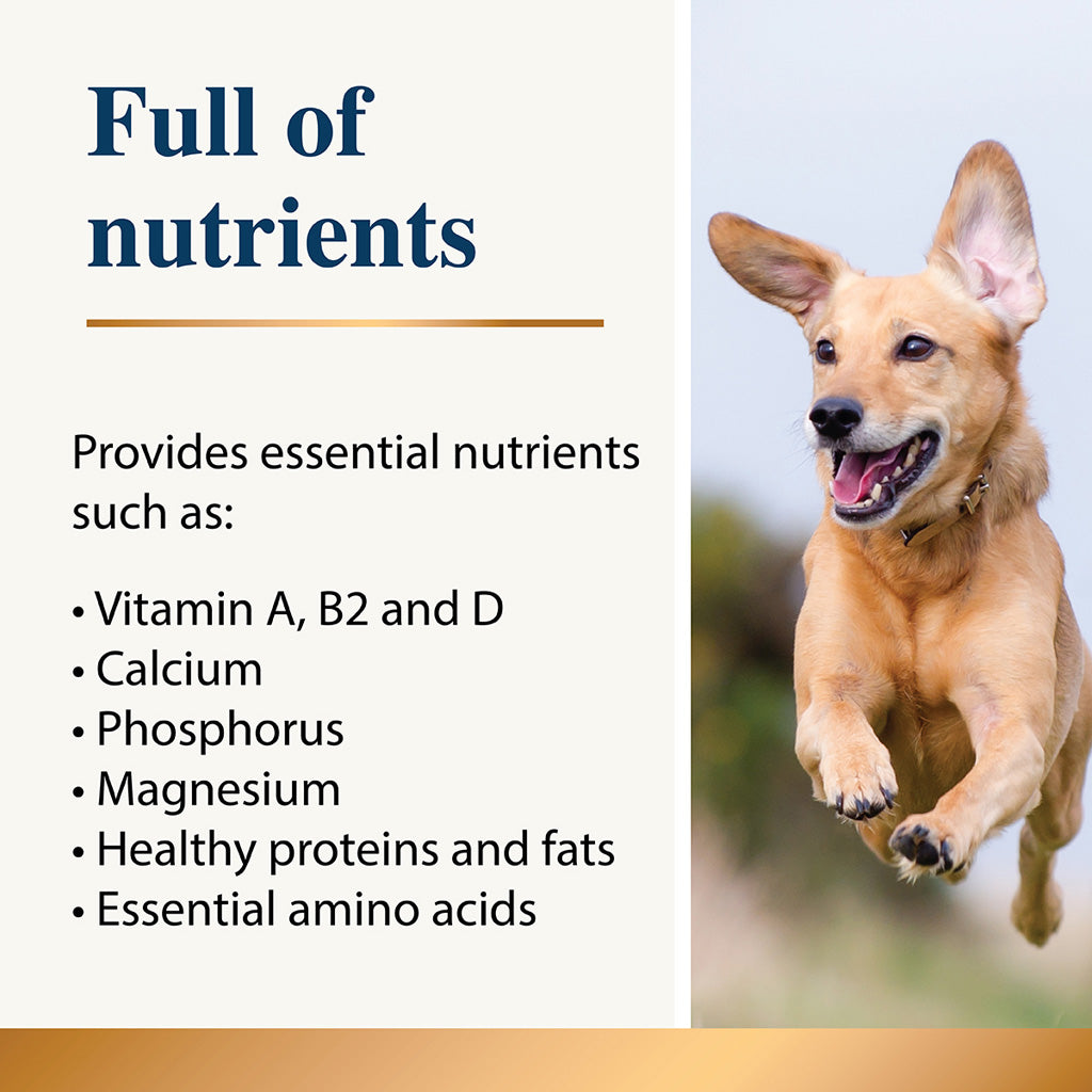 Dog running with text about nutrients on a white background