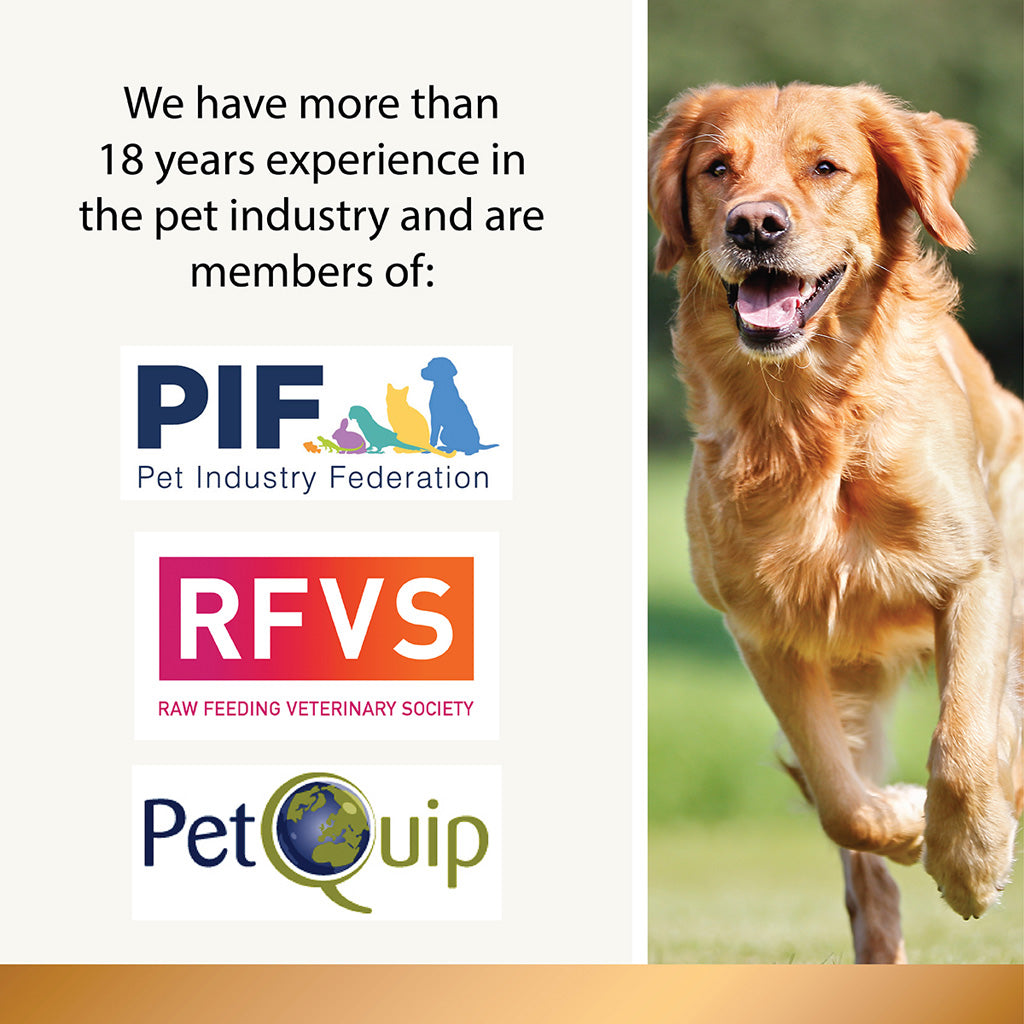 Dog running outdoors with logos of Pet Industry Federation, Raw Feeding Veterinary Society, and PetQuip on a white background.