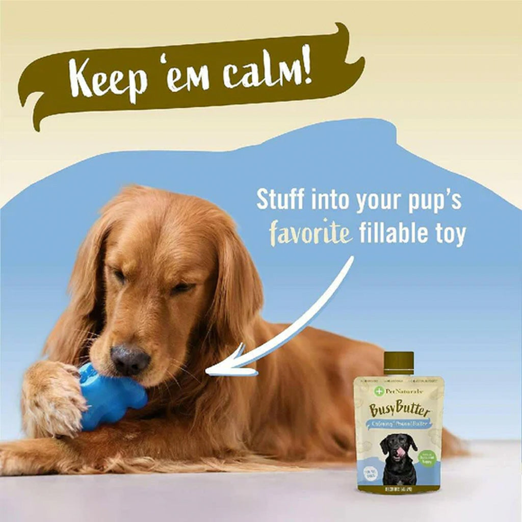 Dog playing with a toy and a package of BusyButter on a beige background