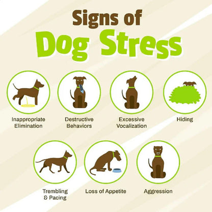 Diagram of signs of dog stress with icons and text on a beige background